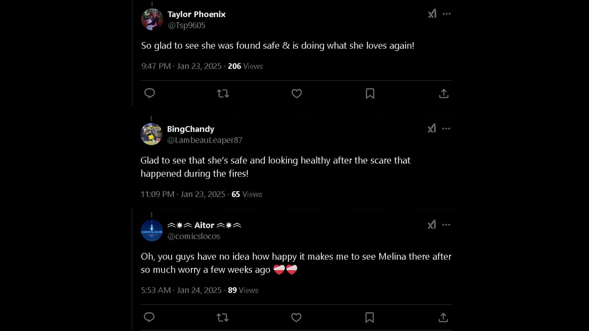 Fans happy to see Melina safe (Image via X)